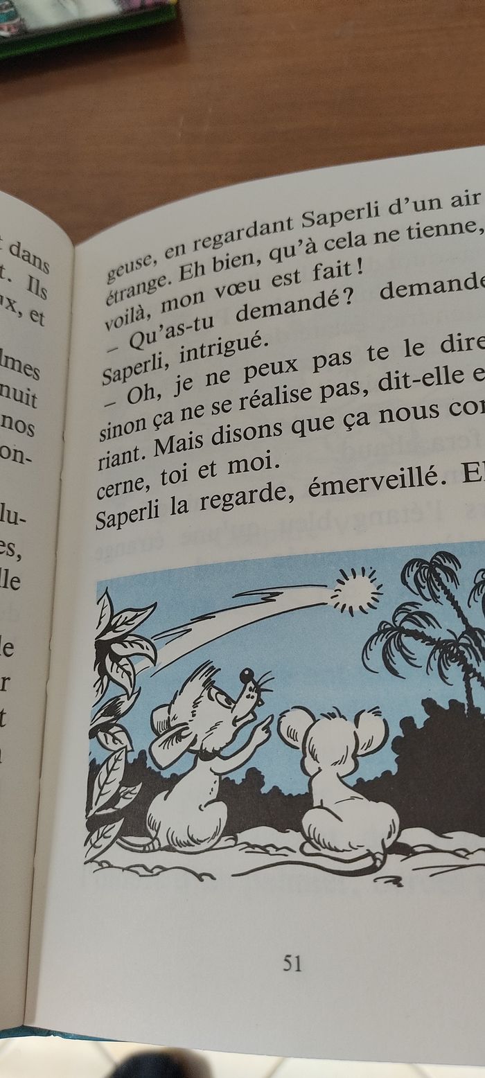 Saperli, le raton voyageur - photo numéro 3
