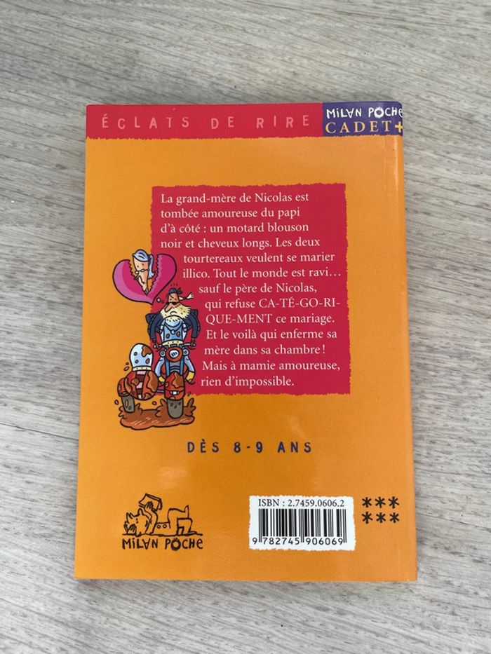 Livre beurk mamie est amoureuse - photo numéro 4