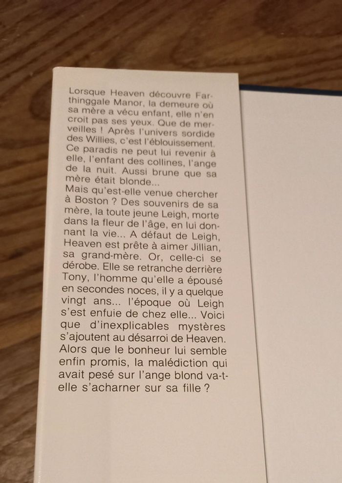 Livre l'ange de la nuit - photo numéro 4