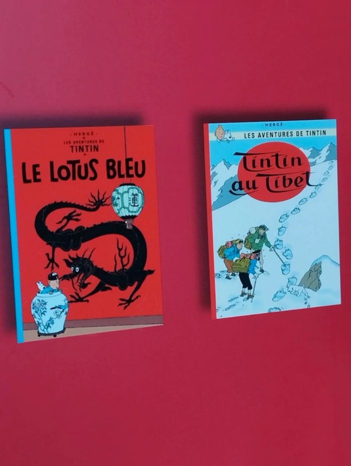 Les aventures de Tintin club France loisirs 2007 Casterman - photo numéro 2