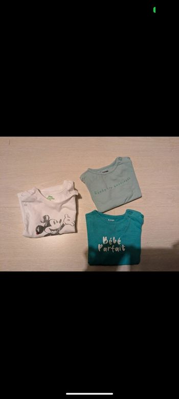 Lot tee-shirts manches courtes