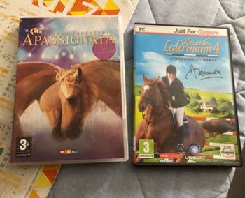 Lot de deux jeu sur les chevaux