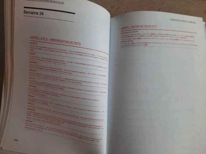 Je mémorise et je sais écrire des mots au CM2 - Picot - photo numéro 6