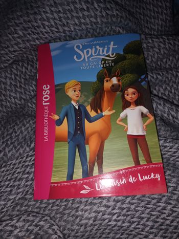 Livre spirit tome 6