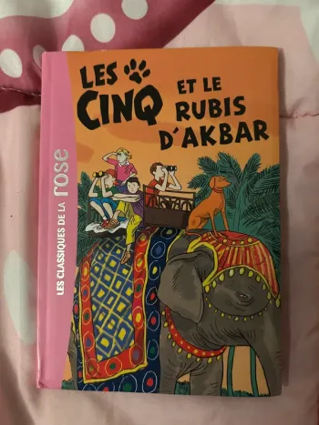 Livre la bibliothèque, rose les cinq et le rubis d’akbar