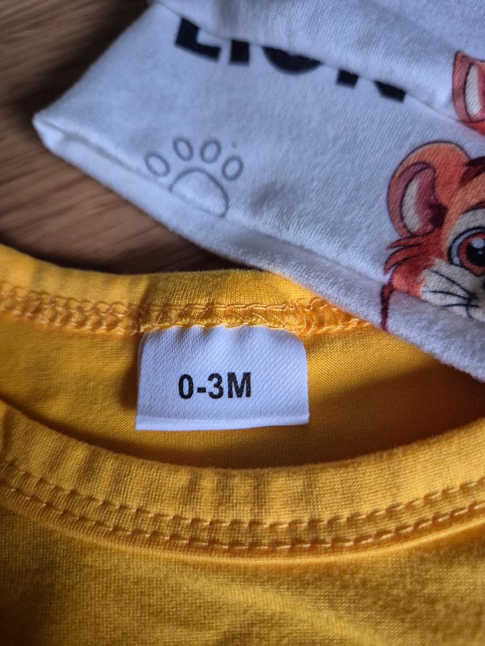 Tenue little lion - photo numéro 2