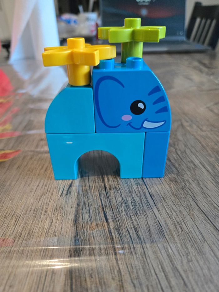 Éléphant duplo
