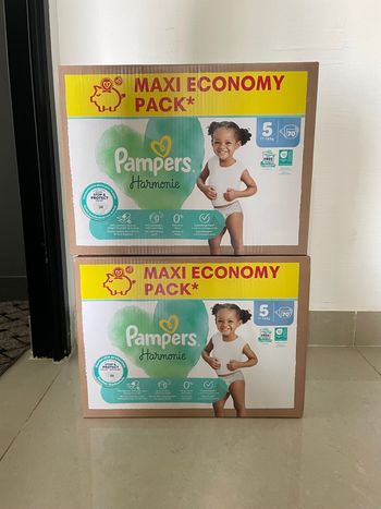 Lot 2 cartons couches Harmonie t5