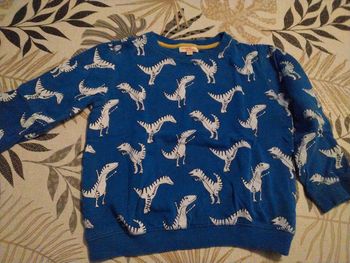 Sweat bleu avec dinausaures Du pareil au même 8ans