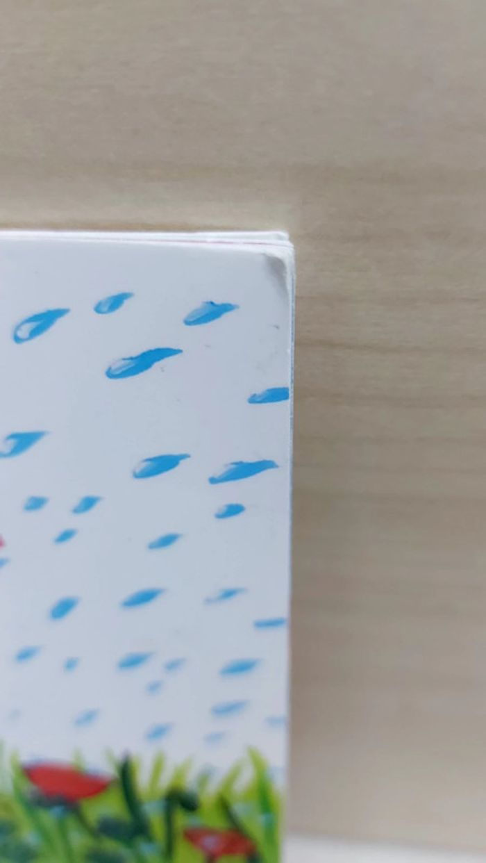 🌺 Livre (école des loisirs) : Chansons sous la pluie - photo numéro 6