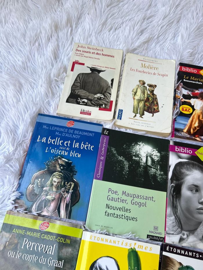 Livre au choix, littérature classique pour collège ou lycée - photo numéro 5