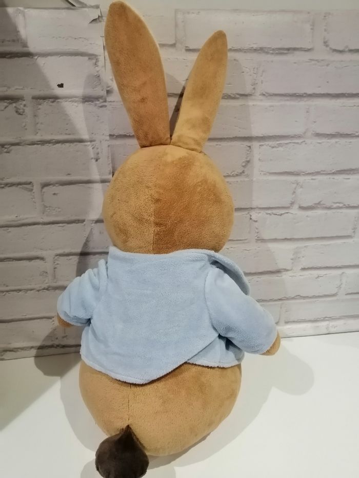 Grand gros lapin picoti - photo numéro 3