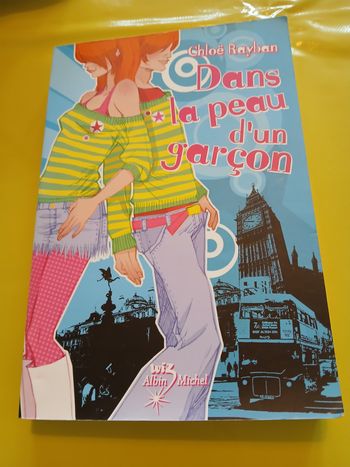 livre dans la peau d'un garcon Chloe Rayban
