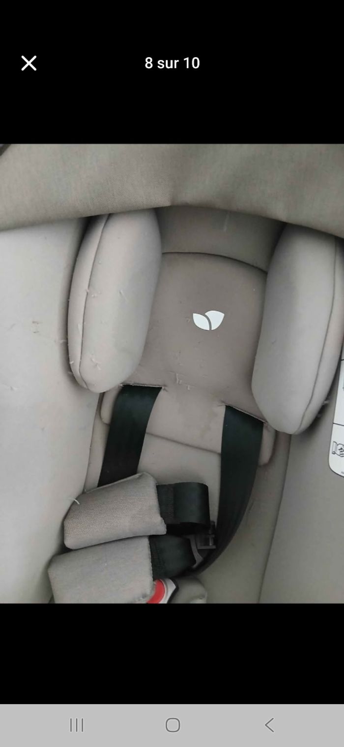 Cosy joie - photo numéro 2