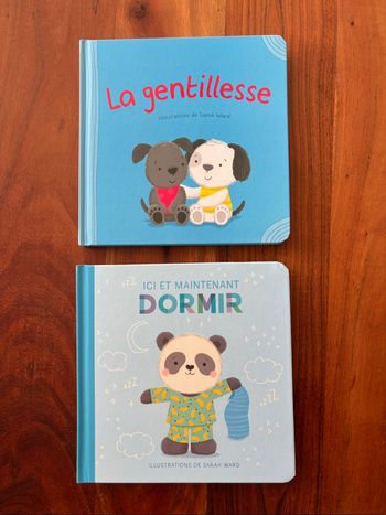 Lot de 2 livres