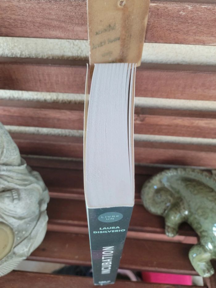 Livre "Incubation" de Laura Disilverio - photo numéro 4