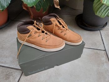 Chaussures Timberland