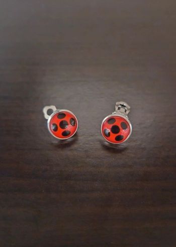 Bijou Miraculous de la coccinelle – univers Ladybug (livre)