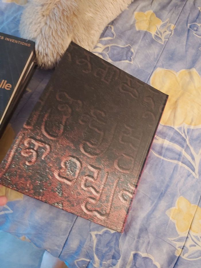 Superbe livre L age de fer - photo numéro 6