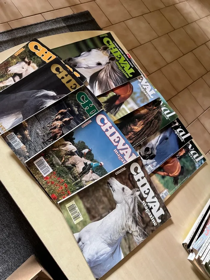 Lot de 10 anciens magazines sur les chevaux