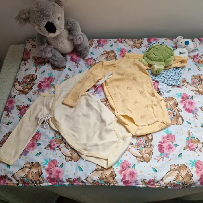 Lot 2 bodies