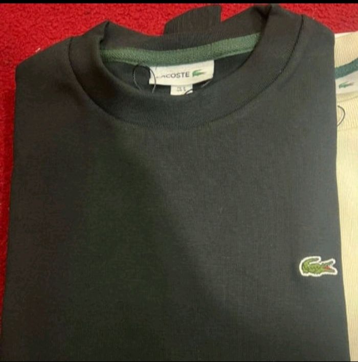 Pull lacoste - photo numéro 4