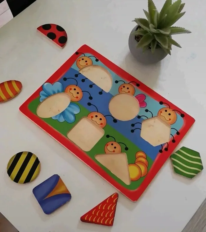 Puzzle en bois et reconnaissance des formes - photo numéro 3