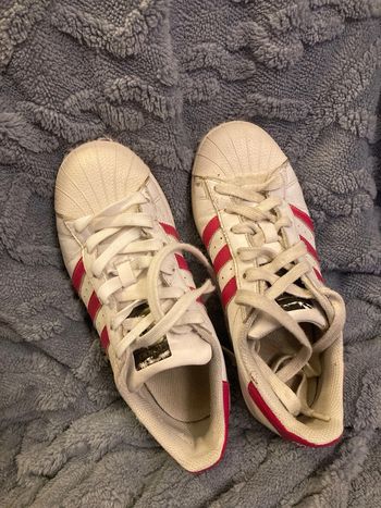 Basket Adidas Superstar taille 36