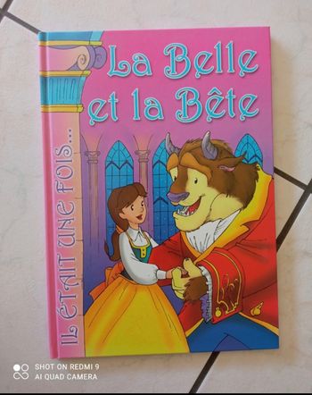 Livre la belle et la bête