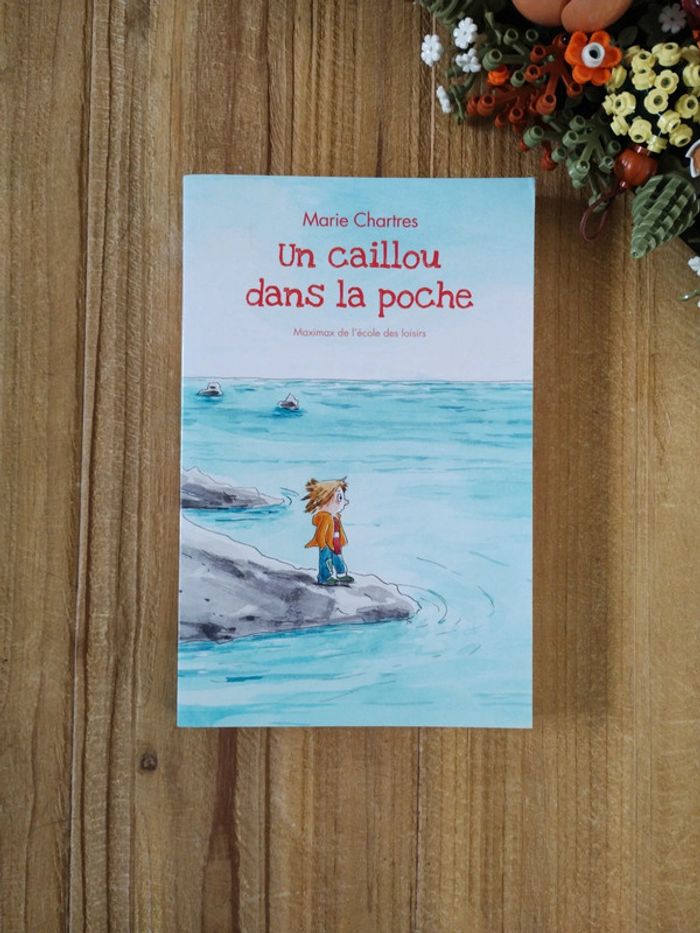 Un Caillou dans la poche - Niveau CM1 - Marie Chartres - photo numéro 2