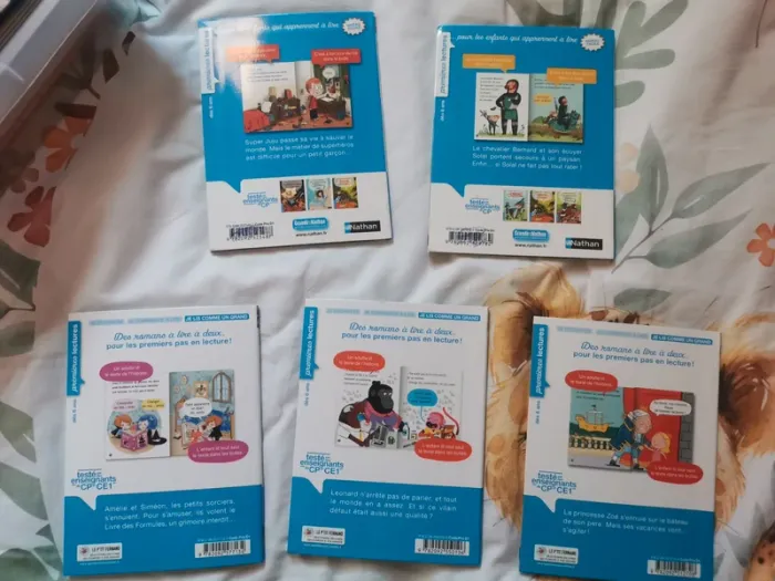 Lot livre premières lectures - photo numéro 2