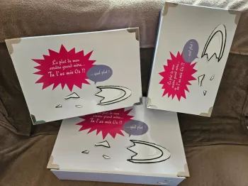 Lot de 3 grandes boîtes de rangement Gigogne