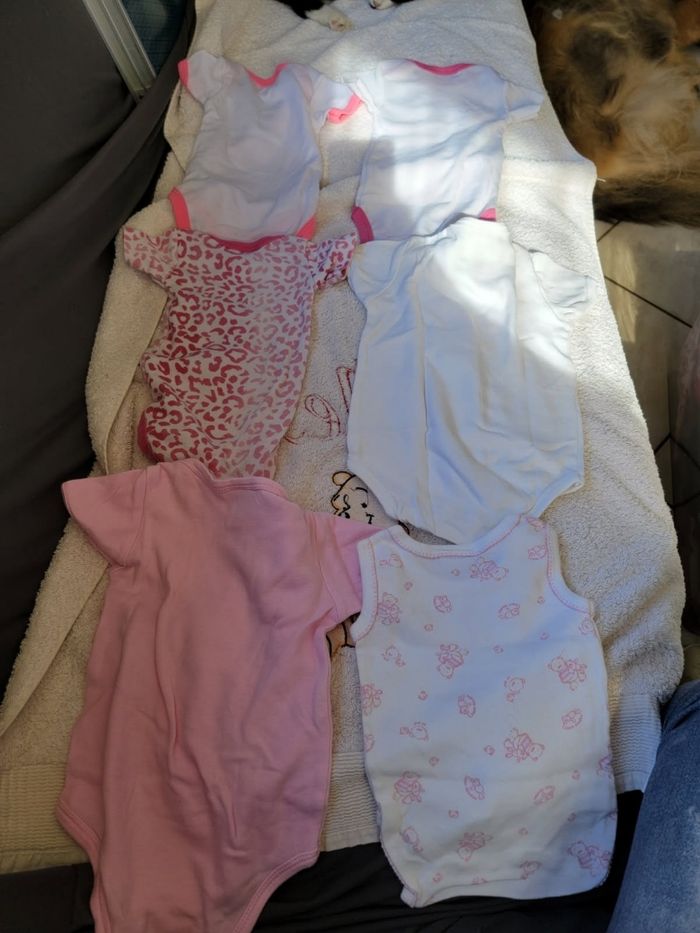 Lot de 6 bodies manches courtes 3 mois fille - photo numéro 2