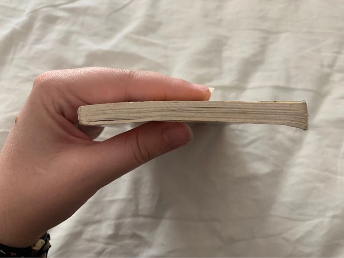 Flaubert un cœur simple - photo numéro 3