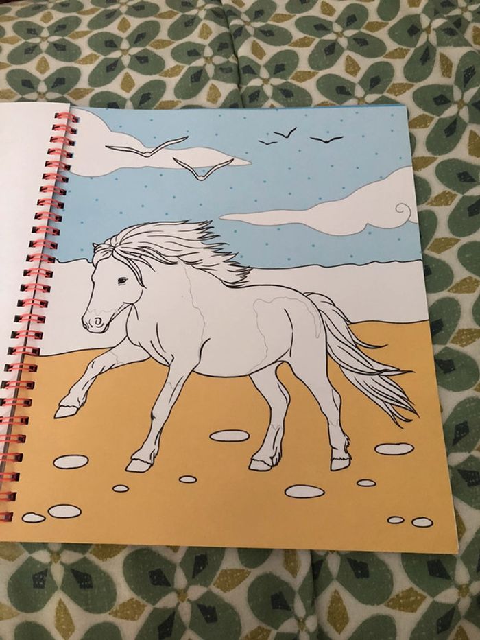 Livre de coloriage miss Mélody - photo numéro 16