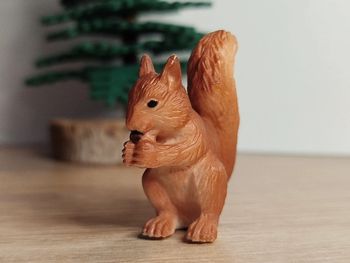 Animal de la forêt : écureuil 🌿