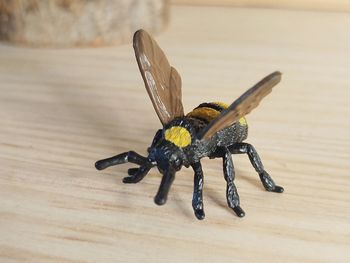 Collecta Bourdon Figurine insecte de la campagne