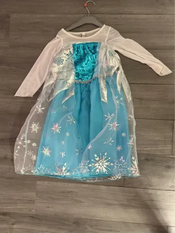 Déguisement reine des neiges