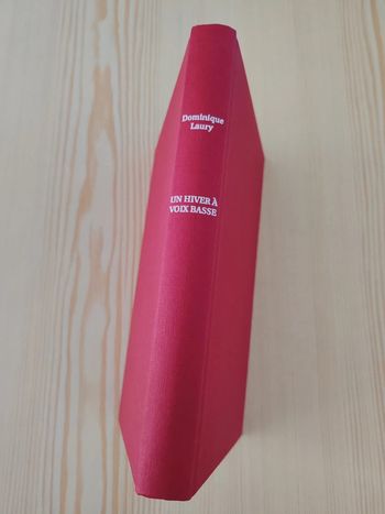 Dominique Laury 🍀 Un hiver à voix basse