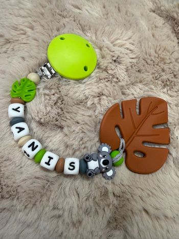 Attache dentition koala 