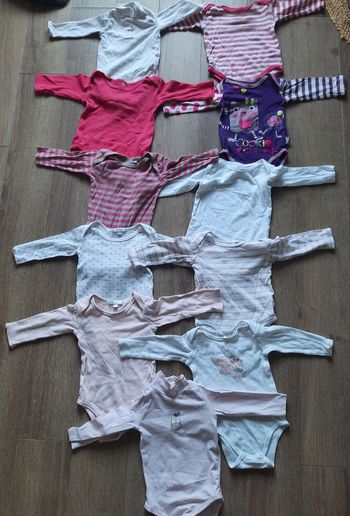 Bodies