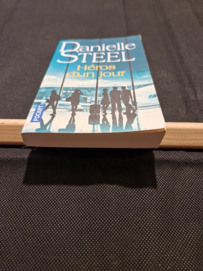 Héros d'un jour - Danielle Steel - photo numéro 2