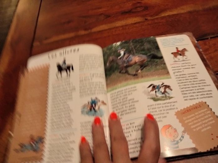 Livre intitulé pourquoi comment les chevaux Fleurus - photo numéro 5