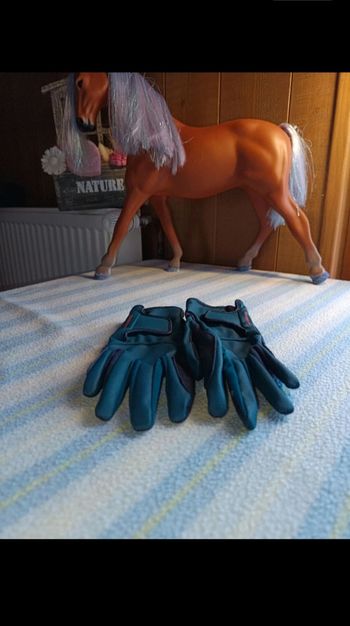 Gants d'équitation
