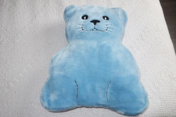 Coussin chat