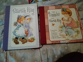 Vends lot de livres Sarah Kay