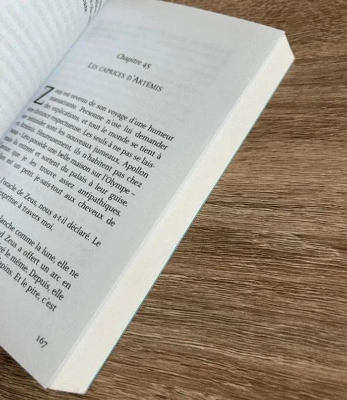 Livre - photo numéro 3