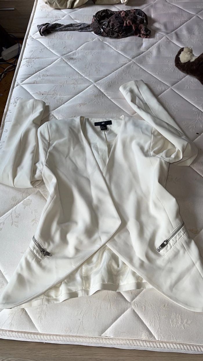 Blazer H&M taille 34 - photo numéro 2