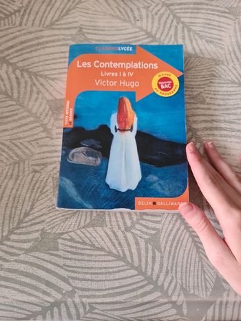Les contemplations livre 1 à 4 VH