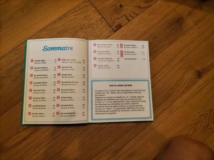 Livre : dictio mots et jeux - photo numéro 4